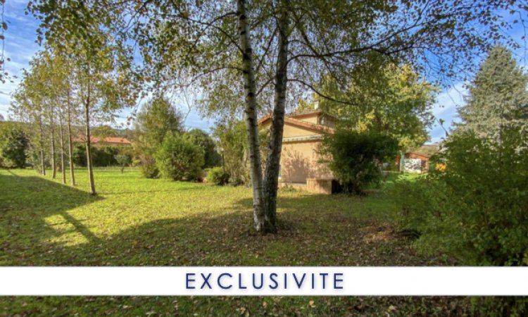 Vente de maison rénovée avec grand terrain piscinable à Revermont 