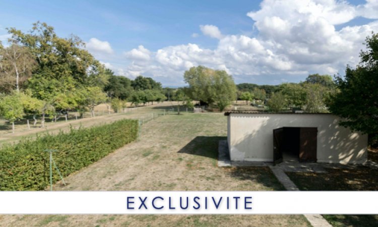Vue d'une chambre sur le terrain et dépendance