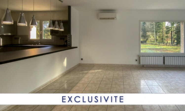 Vente de maison rénovée avec grand terrain piscinable à Revermont 